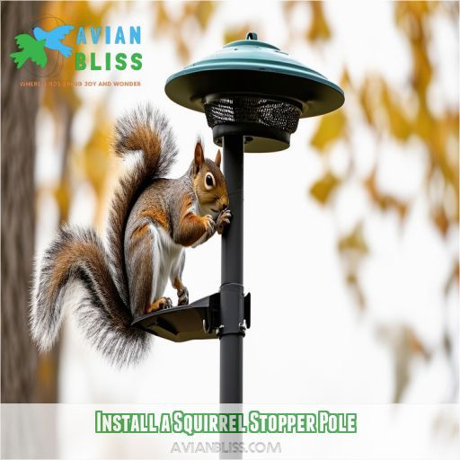 Install a Squirrel Stopper Pole