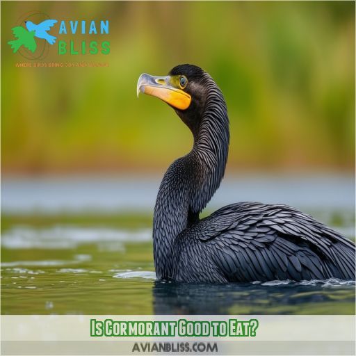 Is Cormorant Good to Eat