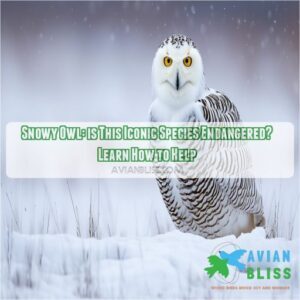 is the snowy owl endangered