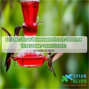 keep ants out of hummingbird feeder