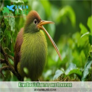 Why Are Kiwi Birds Called Kiwis? Origins, Unique Traits, and Conservation