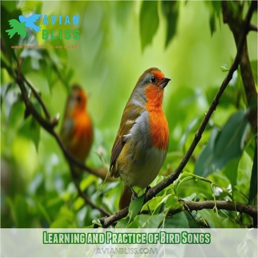 Learning and Practice of Bird Songs