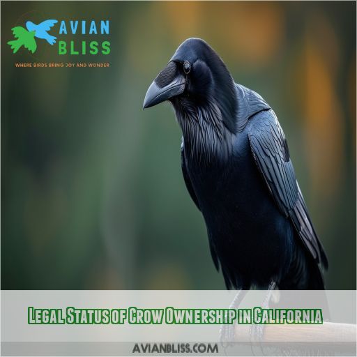 Legal Status of Crow Ownership in California