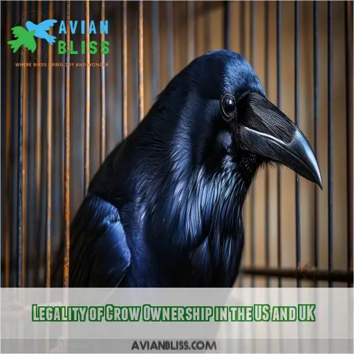 Legality of Crow Ownership in the US and UK