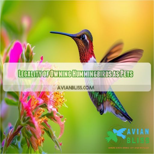 Legality of Owning Hummingbirds as Pets