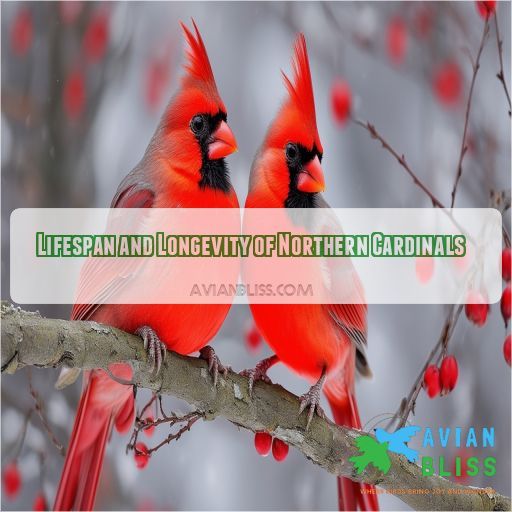 Lifespan and Longevity of Northern Cardinals