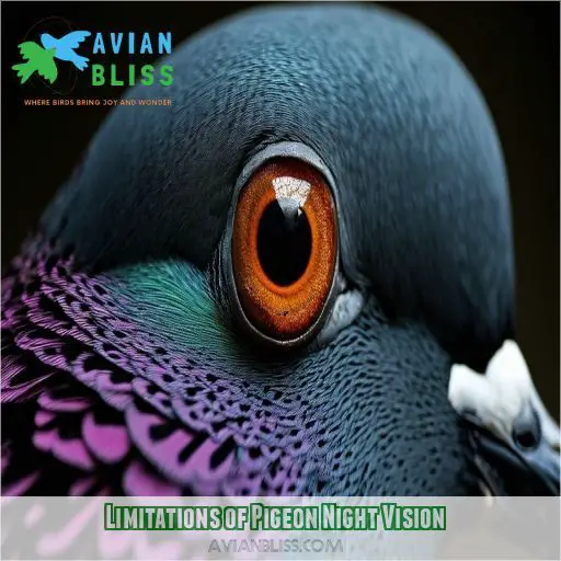 Limitations of Pigeon Night Vision