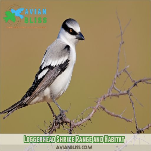 Loggerhead Shrike Range and Habitat