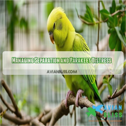 Managing Separation and Parakeet Distress