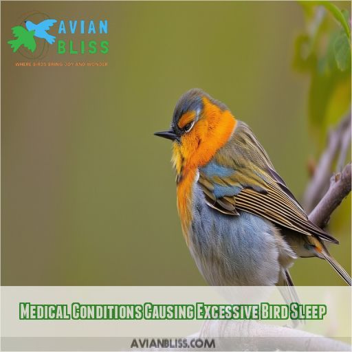 Medical Conditions Causing Excessive Bird Sleep