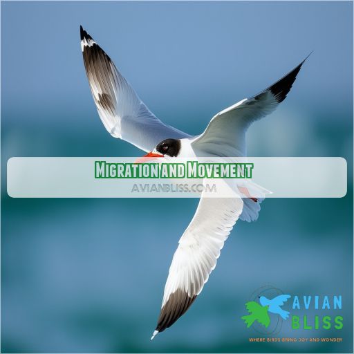 Migration and Movement