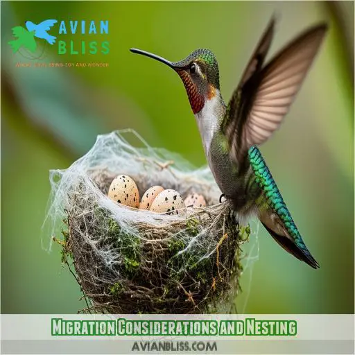 Migration Considerations and Nesting