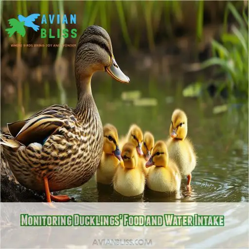 Monitoring Ducklings