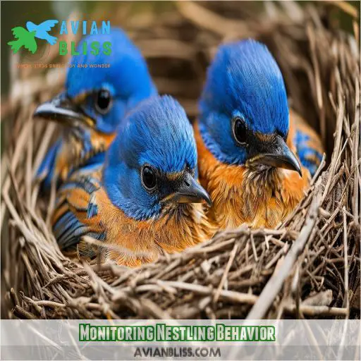 Monitoring Nestling Behavior