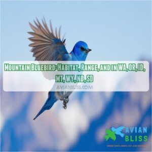 mountain bluebird washington oregon idaho montana wyoming n s dakota