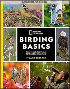 National Geographic Birding Basics: Tips,