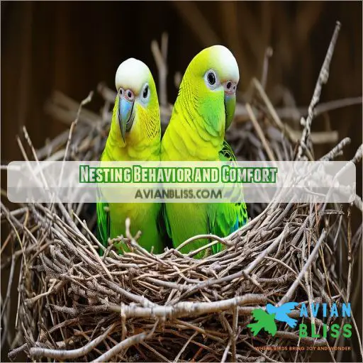 Nesting Behavior and Comfort