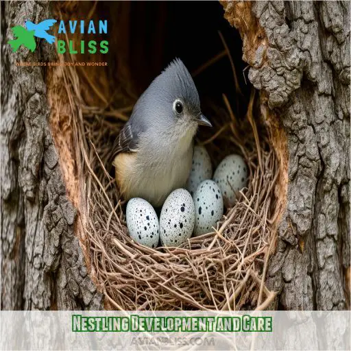 Nestling Development and Care