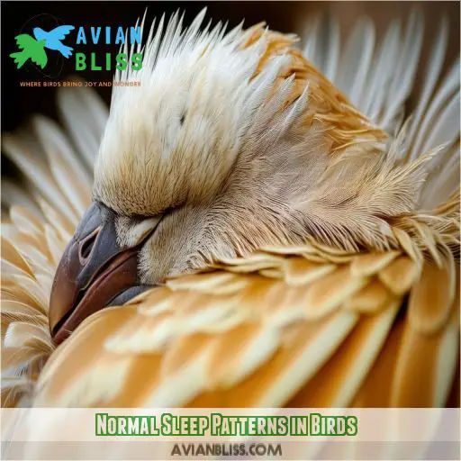 Normal Sleep Patterns in Birds