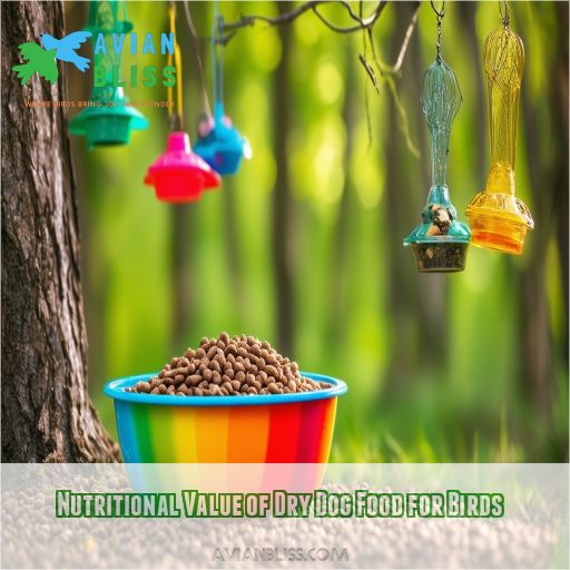 Nutritional Value of Dry Dog Food for Birds