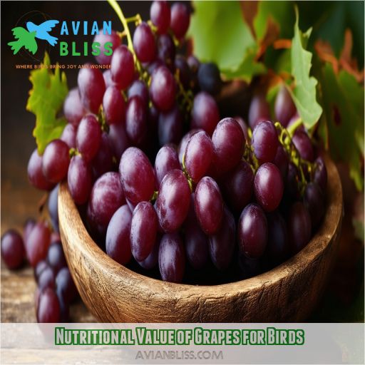 Nutritional Value of Grapes for Birds