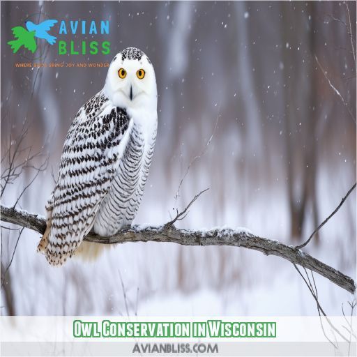 Owl Conservation in Wisconsin