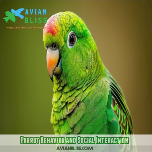 Parrot Behavior and Social Interaction