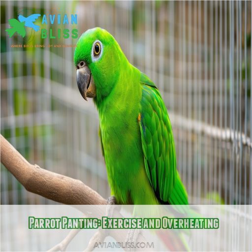 Parrot Panting: Exercise and Overheating