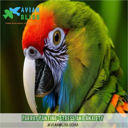 Parrot Panting: Stress and Anxiety