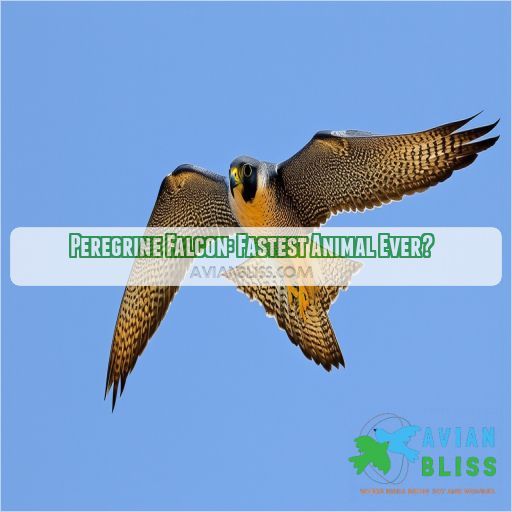 Peregrine Falcon: Fastest Animal Ever