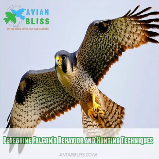 Peregrine Falcon Facts: Speed,, Nesting, and Conservation Status