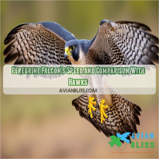 Peregrine Falcon Facts: Speed,, Nesting, and Conservation Status