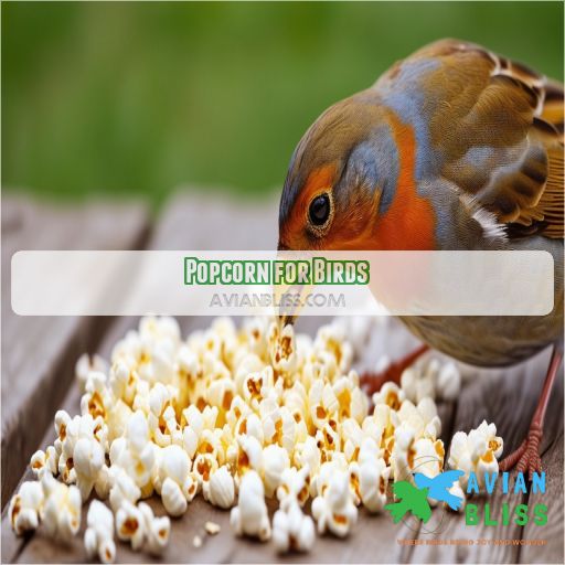 Popcorn for Birds