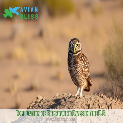 Population of Burrowing Owls in the U.S