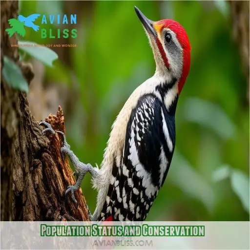 Population Status and Conservation