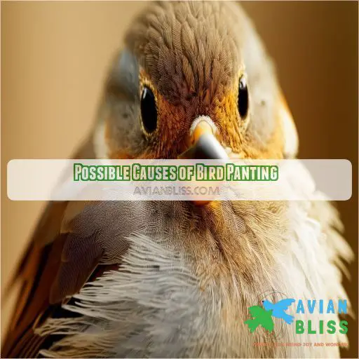 Possible Causes of Bird Panting