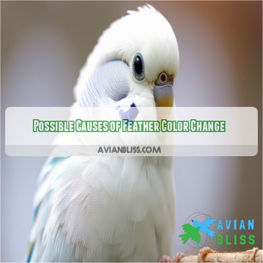 Possible Causes of Feather Color Change