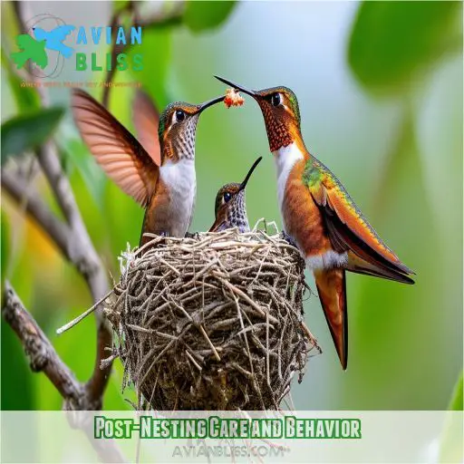 Post-Nesting Care and Behavior