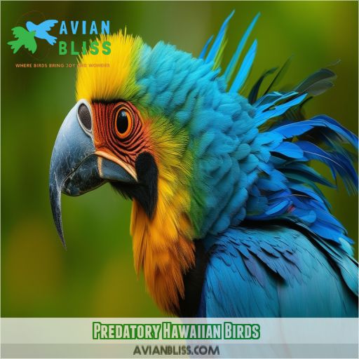 Predatory Hawaiian Birds
