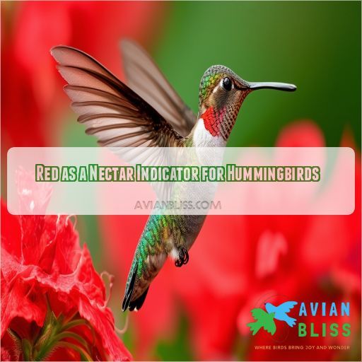 Red as a Nectar Indicator for Hummingbirds