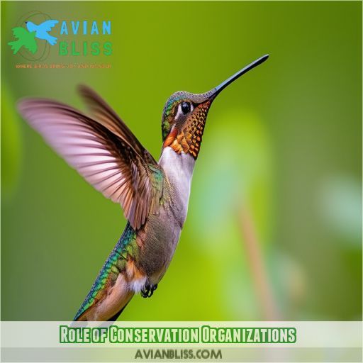 Role of Conservation Organizations