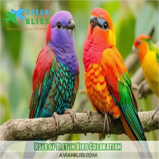 Role of Diet in Bird Coloration