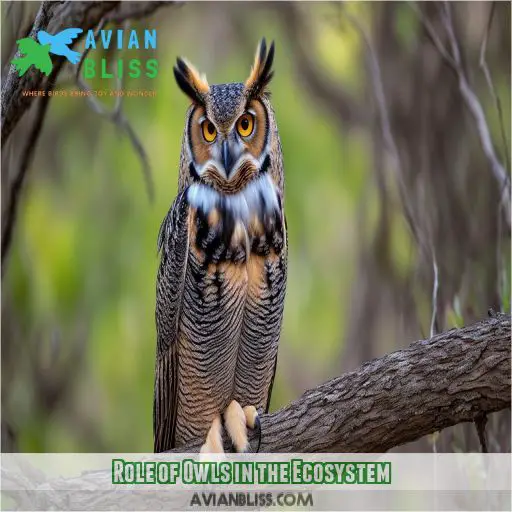 Role of Owls in the Ecosystem