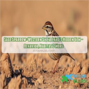sage sparrow