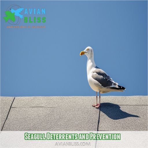 Seagull Deterrents and Prevention