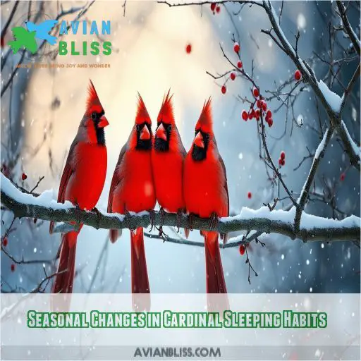 Seasonal Changes in Cardinal Sleeping Habits