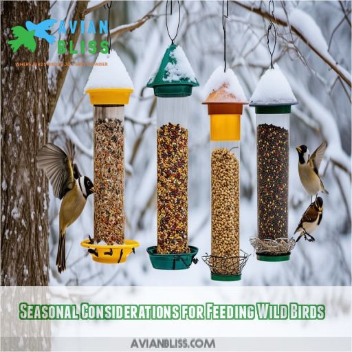 Seasonal Considerations for Feeding Wild Birds