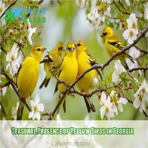 Seasonal Presence of Yellow Birds in Georgia