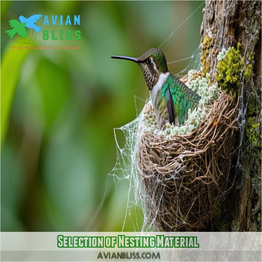 Selection of Nesting Material