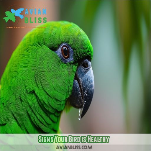 Signs Your Bird is Healthy